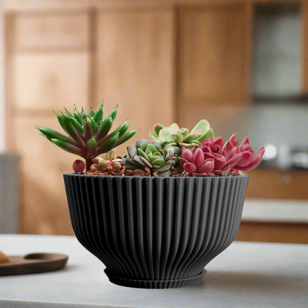 Rosebud HomeGoods Bonsai Pot with Drainage & Tray