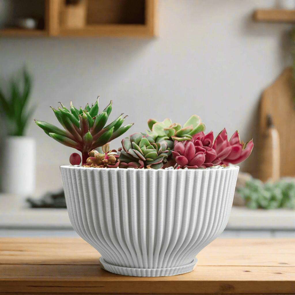 Rosebud HomeGoods Bonsai Pot with Drainage & Tray