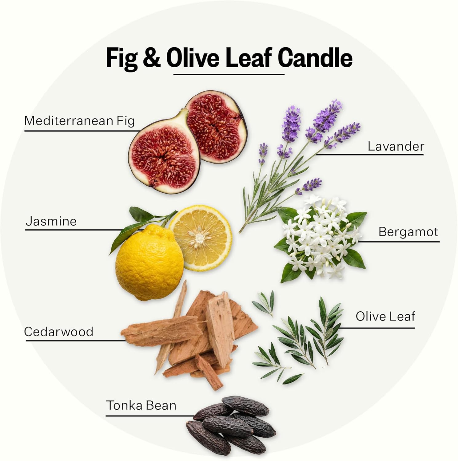 Fig and Olive Leaf Reed Diffuser