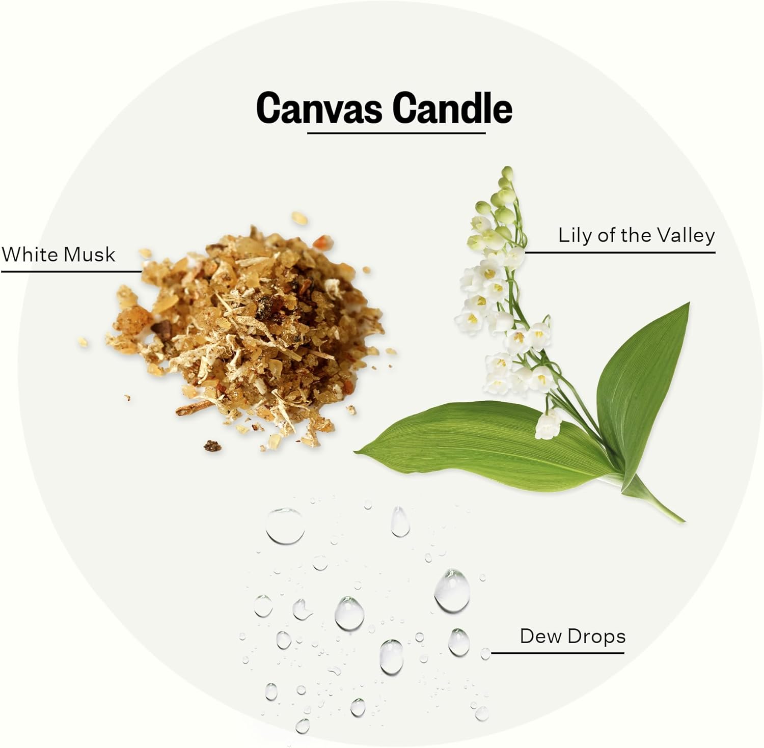 Canvas Lotion
