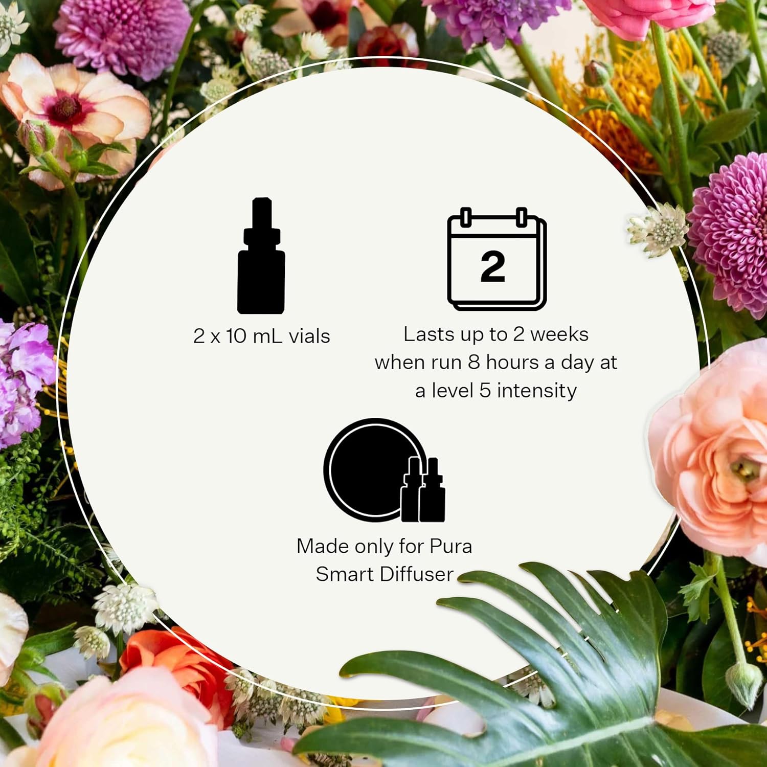 Charcoal Pura Smart Scent Fragrance Refill, Set of 2