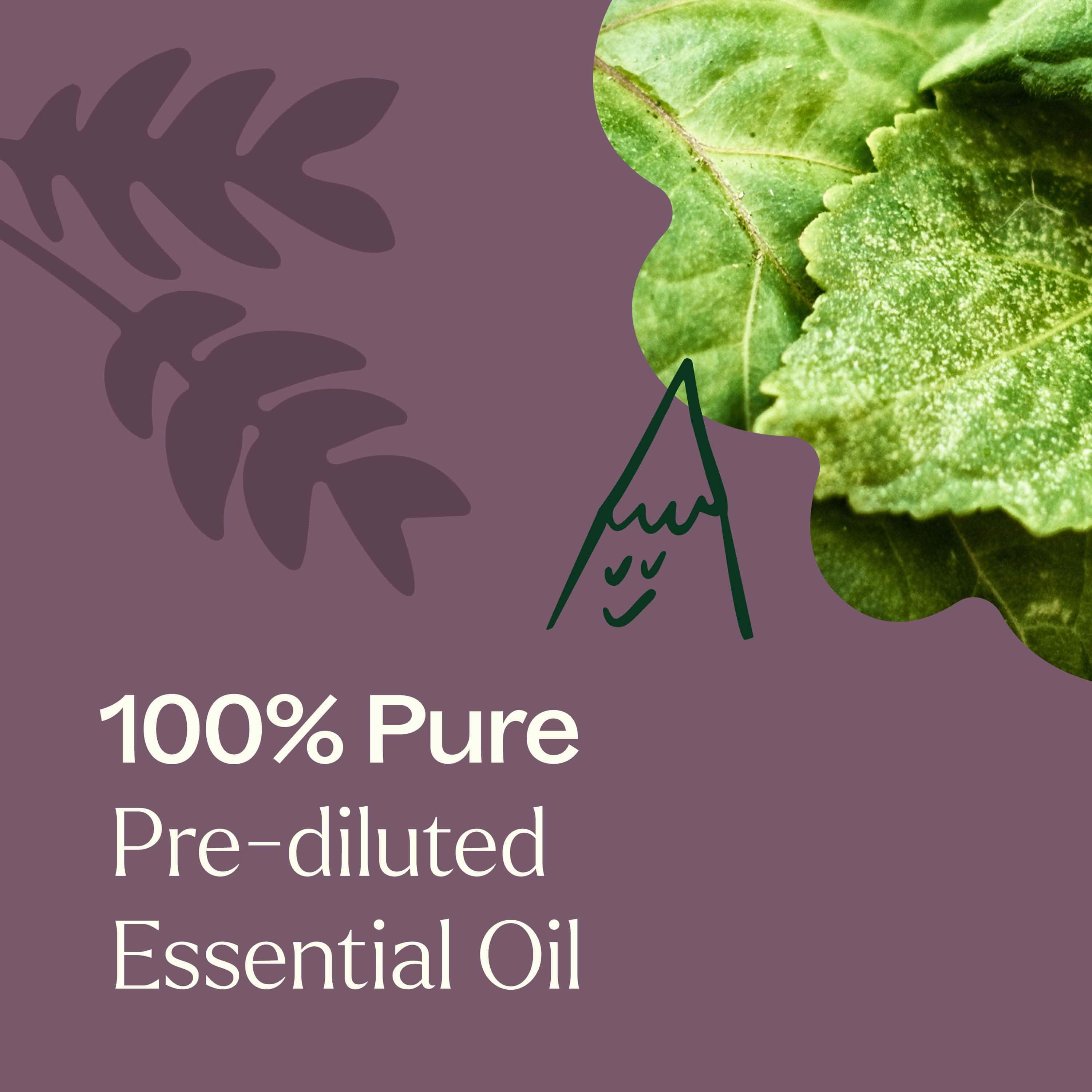 Plant Therapy Essential Oil Aged Dark Patchouli Essential Oil Pre-Diluted Roll-On 10 ml