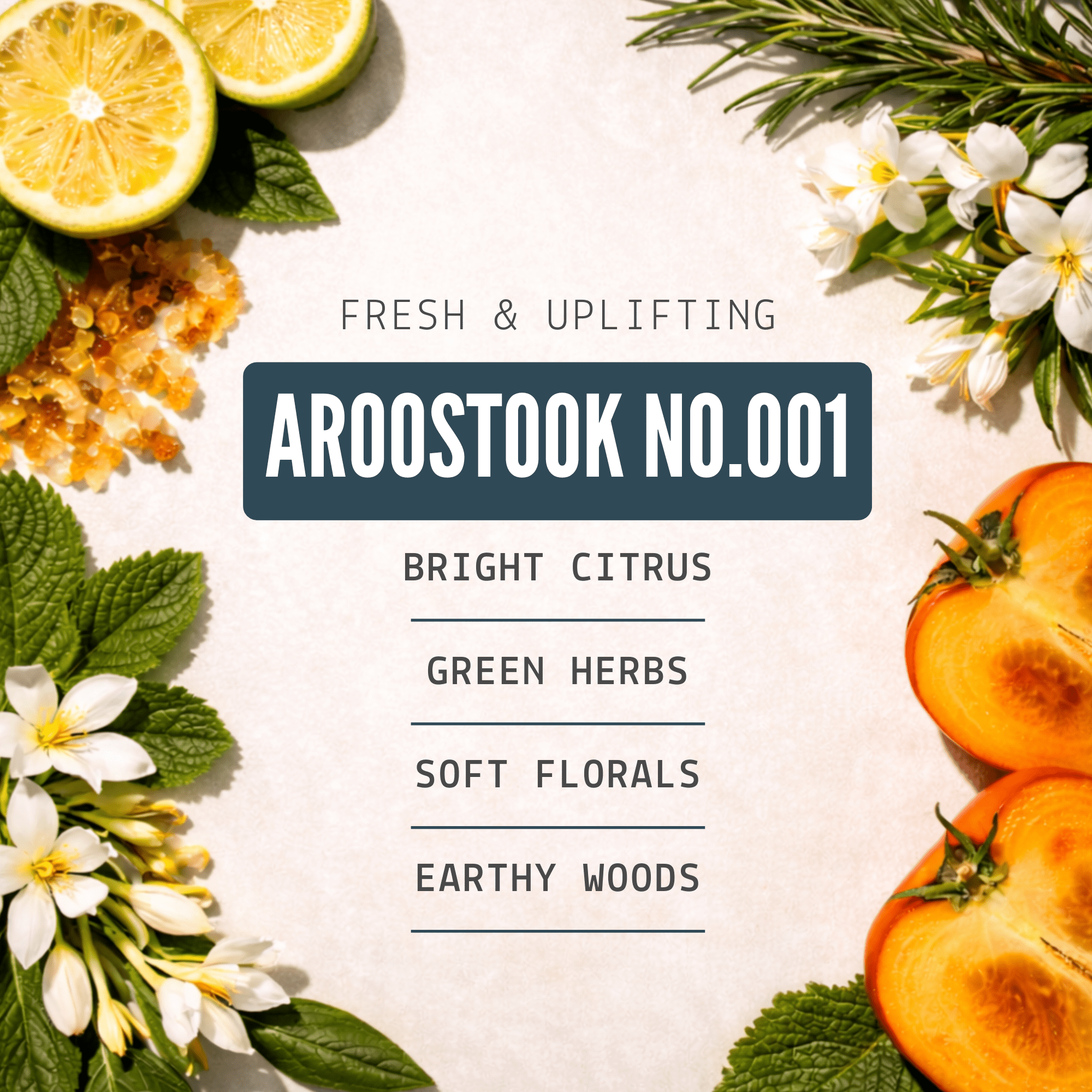 Bawston & Tucker Cologne Cologne Oil - Aroostook Signature Fragrance - Roll-on Cologne - 15 ML