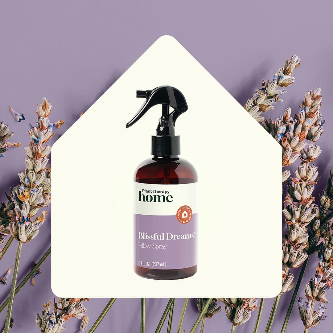 Plant Therapy Household 8 oz Blissful Dreams Lavender Pillow Spray