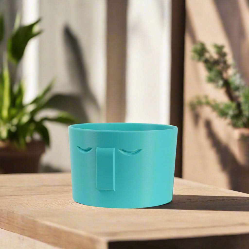 Rosebud HomeGoods Pots & Planters 4 Inch / Teal / Without Drip Tray Minimal Face Planter, Small Medium Large, With Drip Tray and Great Drainage