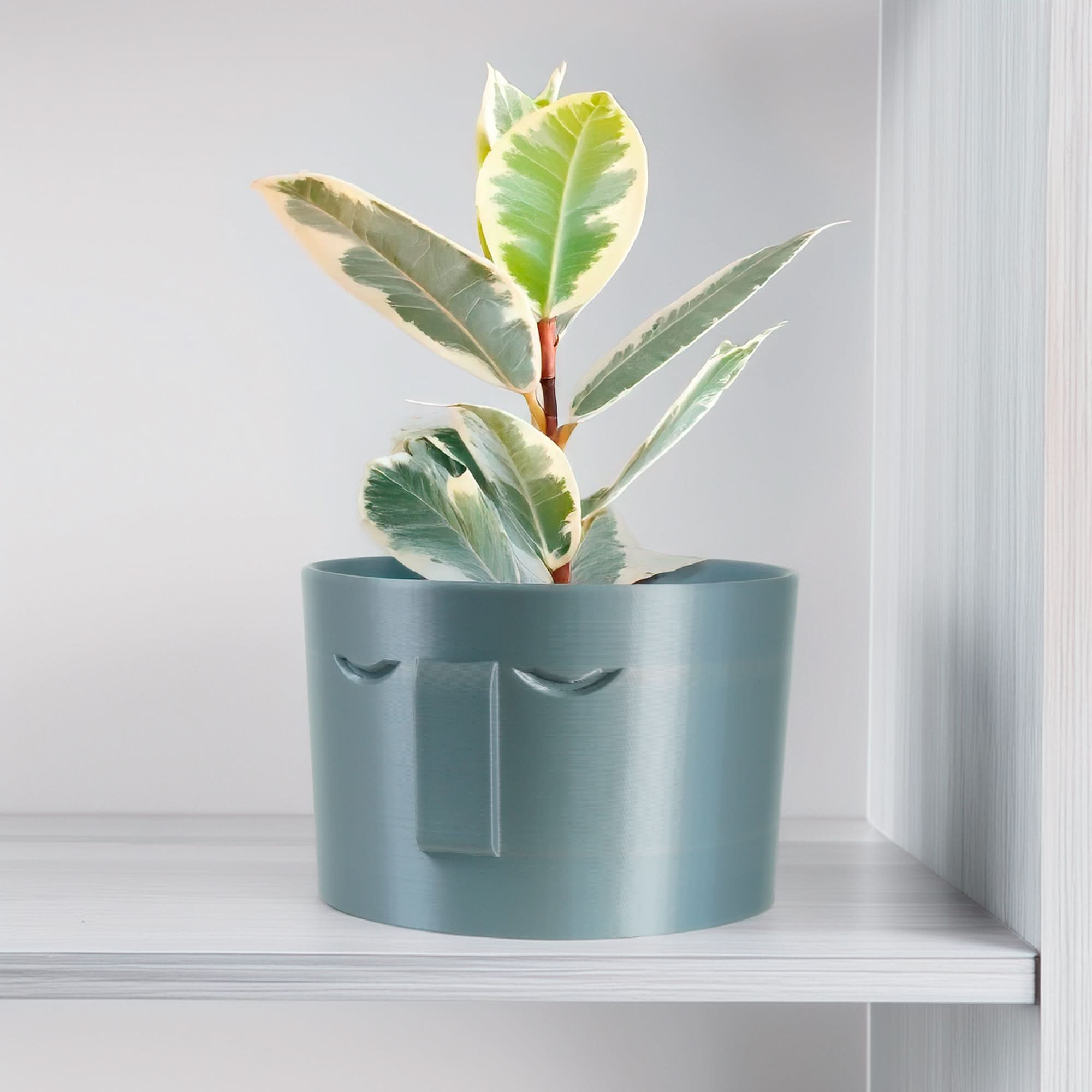 Rosebud HomeGoods Pots & Planters 4 Inch / Silver / Without Drip Tray Minimal Face Planter, Small Medium Large, With Drip Tray and Great Drainage