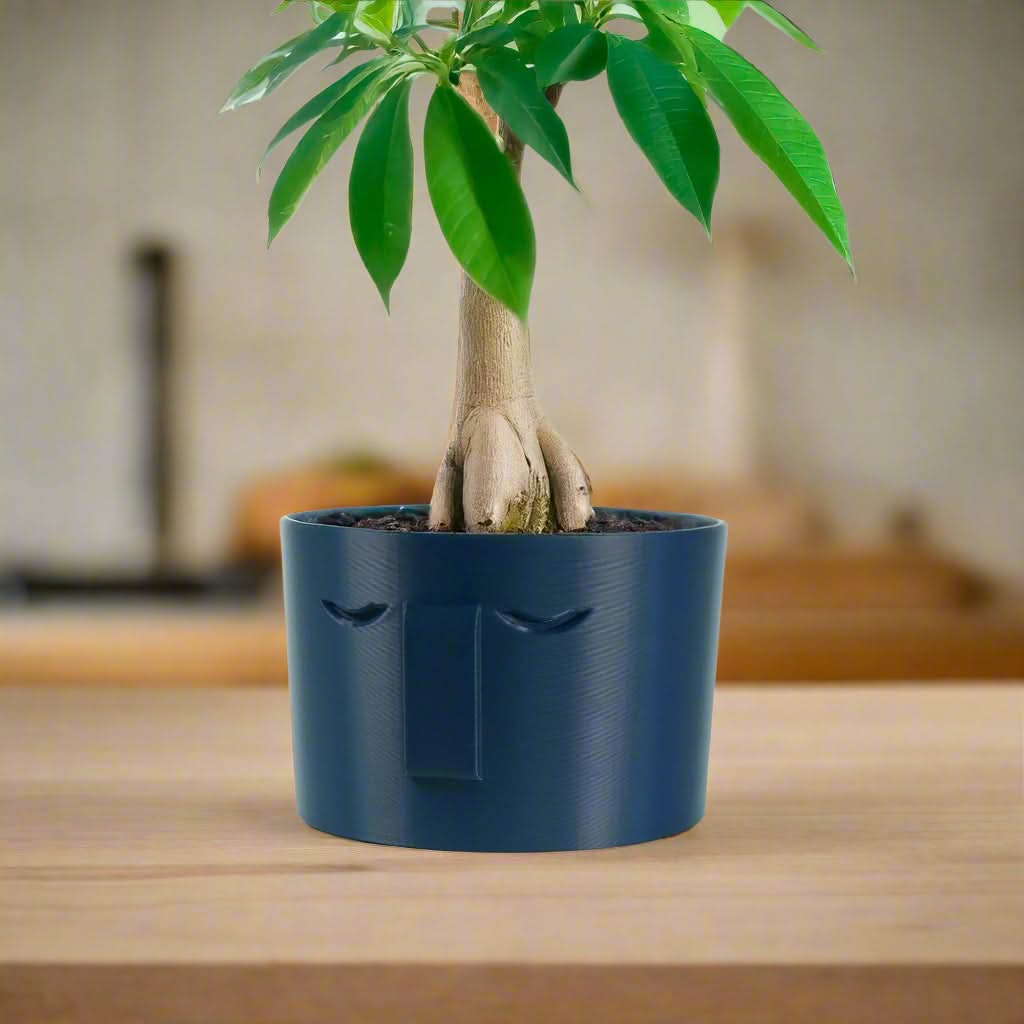 Rosebud HomeGoods Pots & Planters 4 Inch / Navy Blue / Without Drip Tray Minimal Face Planter, Small Medium Large, With Drip Tray and Great Drainage