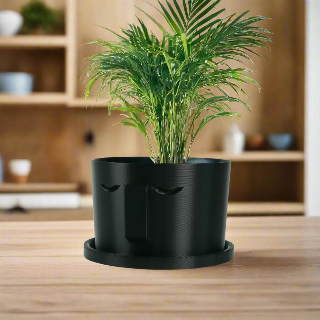 Rosebud HomeGoods Pots & Planters 4 Inch / Black / Without Drip Tray Minimal Face Planter, Small Medium Large, With Drip Tray and Great Drainage