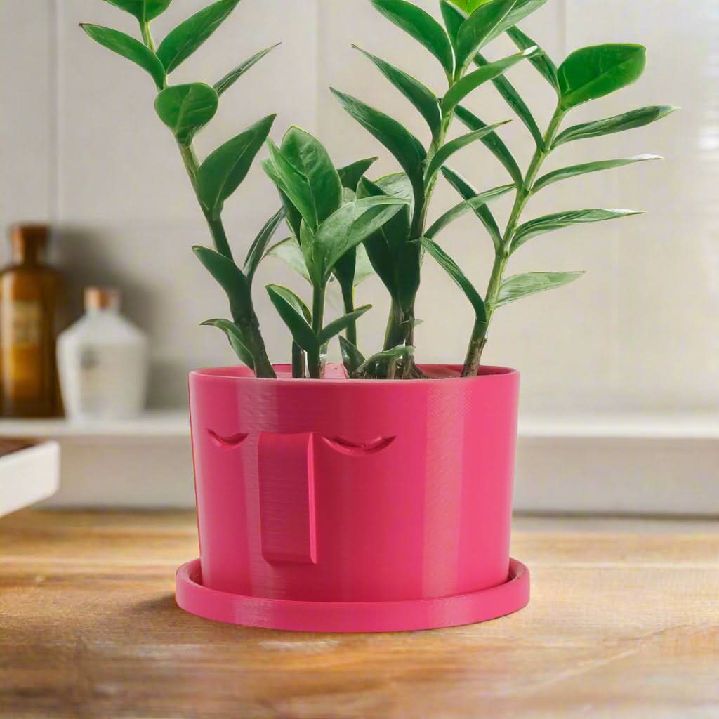 Rosebud HomeGoods Pots & Planters Minimal Face Planter, Small Medium Large, With Drip Tray and Great Drainage