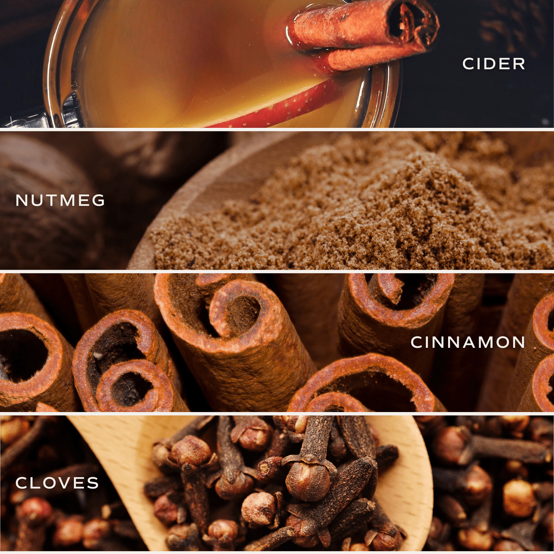 Sweet Water Decor Reed Diffusers Hello Fall Clear Reed Diffuser