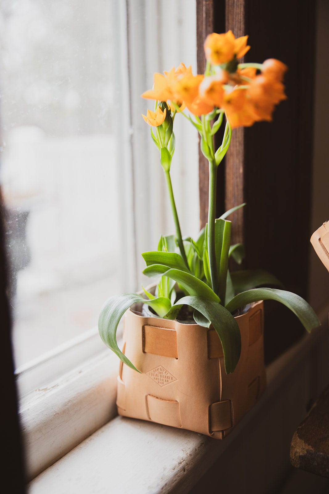 The Local Branch Leather Leather Tabletop Planter - USA Made