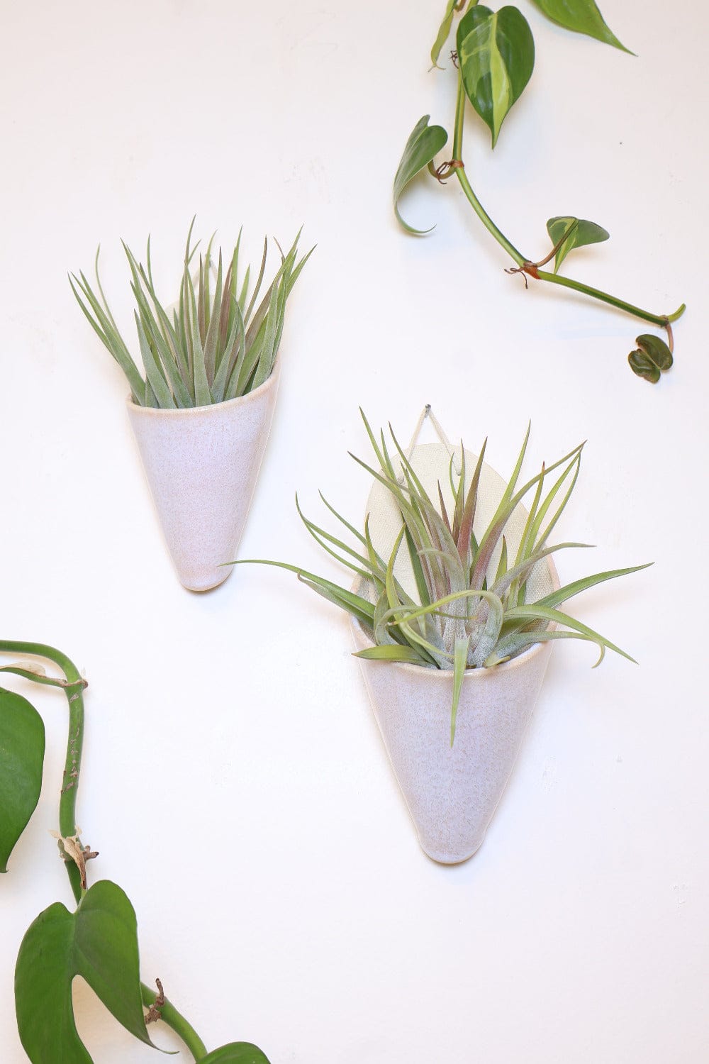 Carter + Rose Large Ceramic Wall Planter