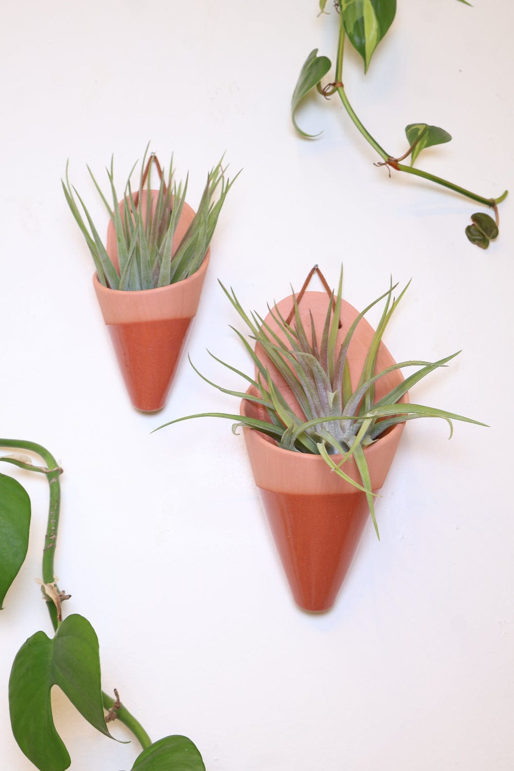 Carter + Rose Large Ceramic Wall Planter