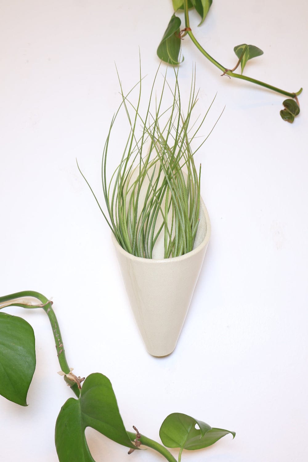 Carter + Rose Ivory/Off-White / With plant Large Ceramic Wall Planter