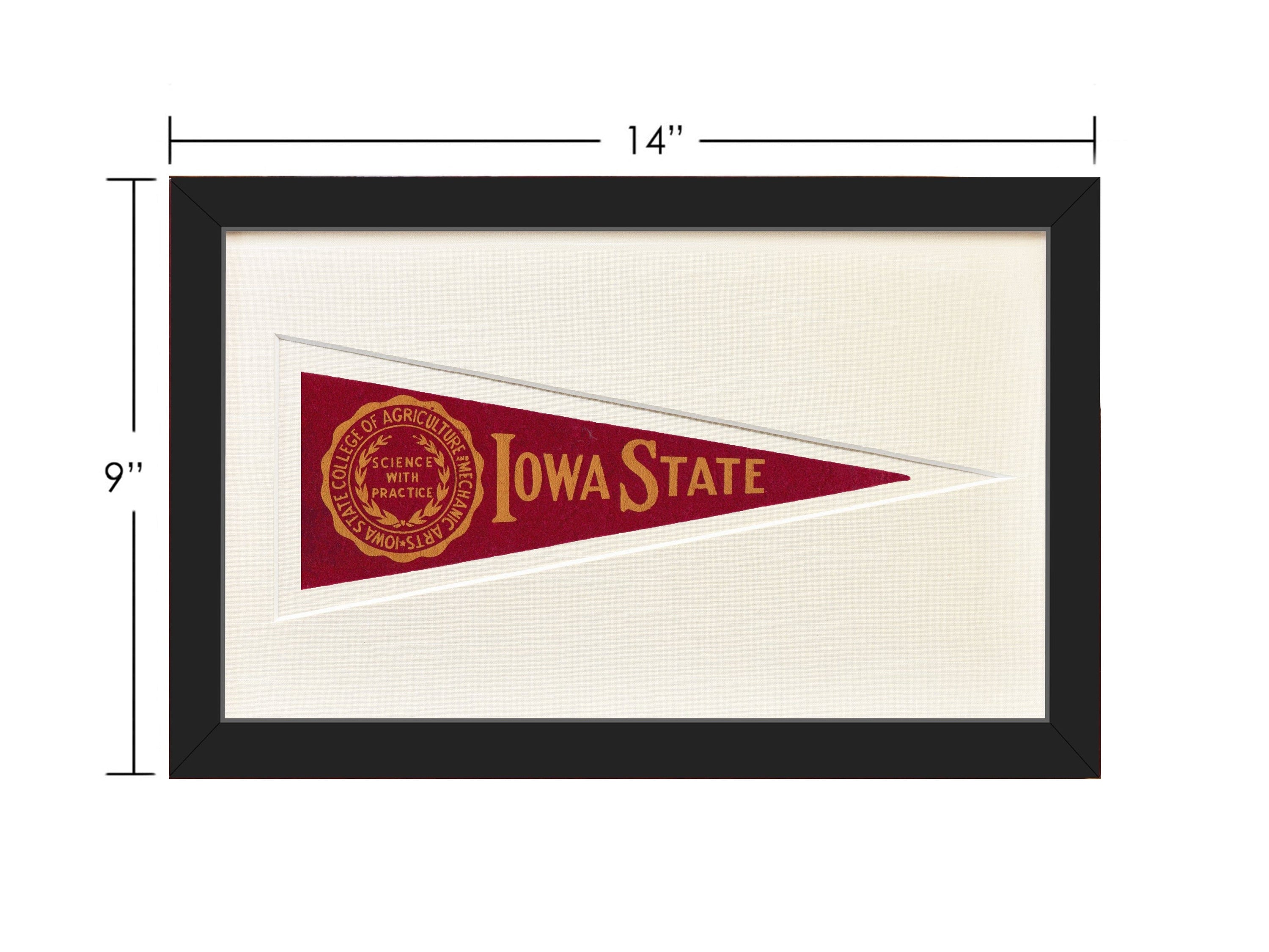 Americana Memories Vintage Iowa State Hormel Pennant