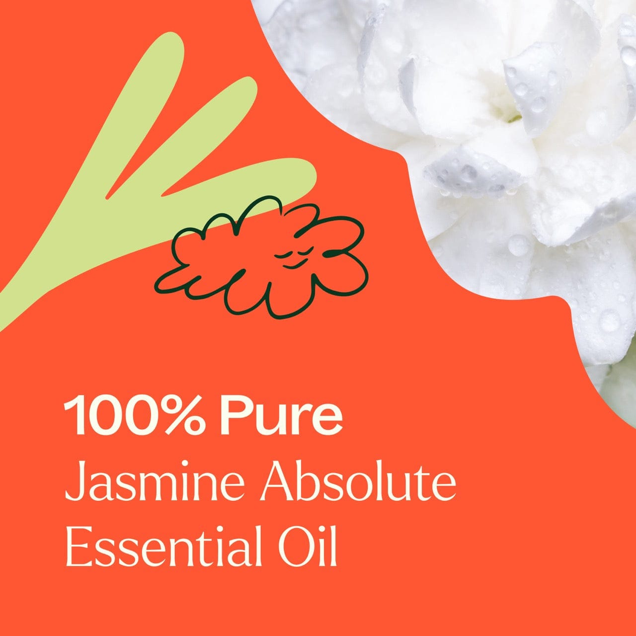 Plant Therapy Essential Oil Jasmine Sambac Absolute