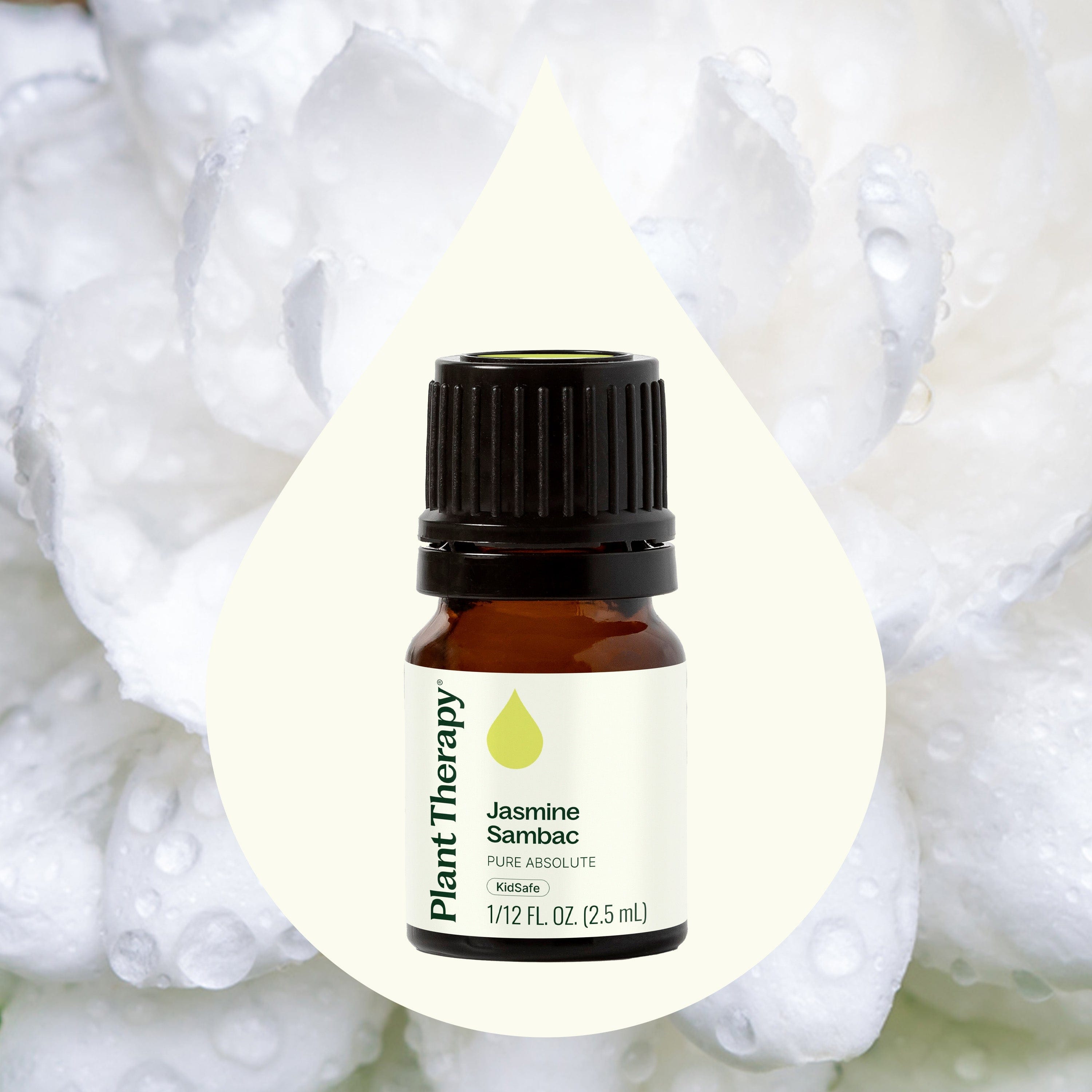 Plant Therapy Essential Oil Jasmine Sambac Absolute