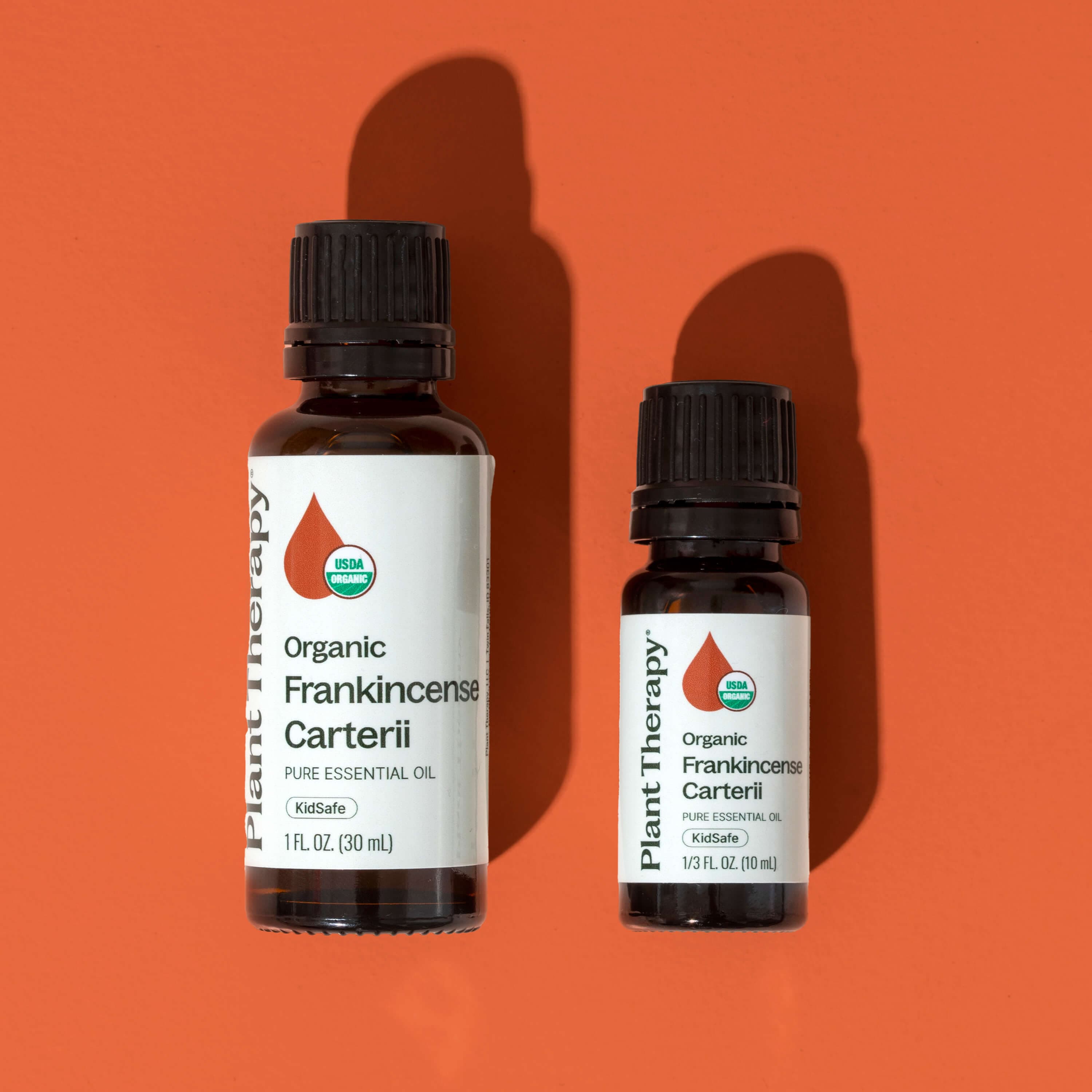 Plant Therapy Essential Oil Organic Frankincense Carterii Essential Oil