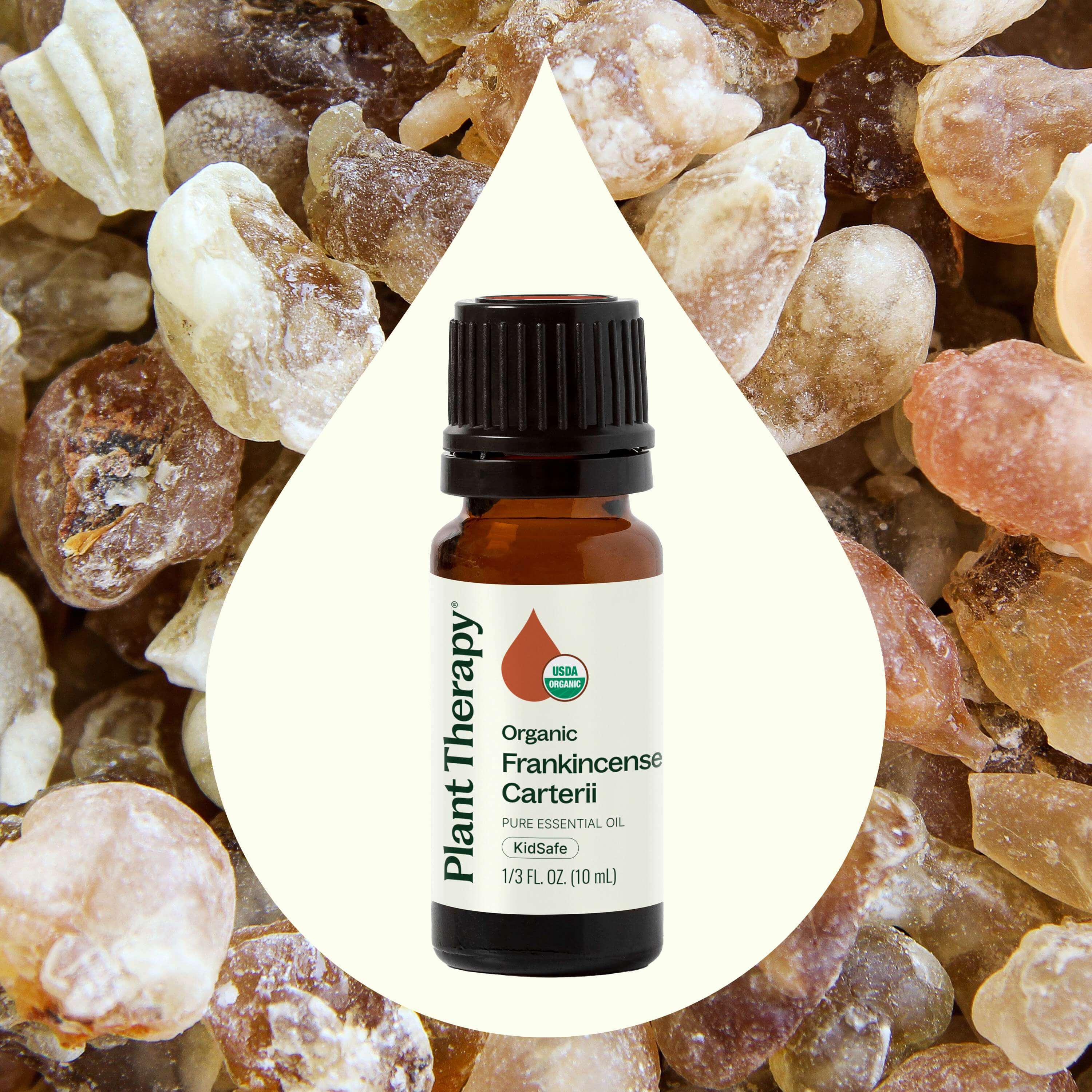 Plant Therapy Essential Oil Organic Frankincense Carterii Essential Oil