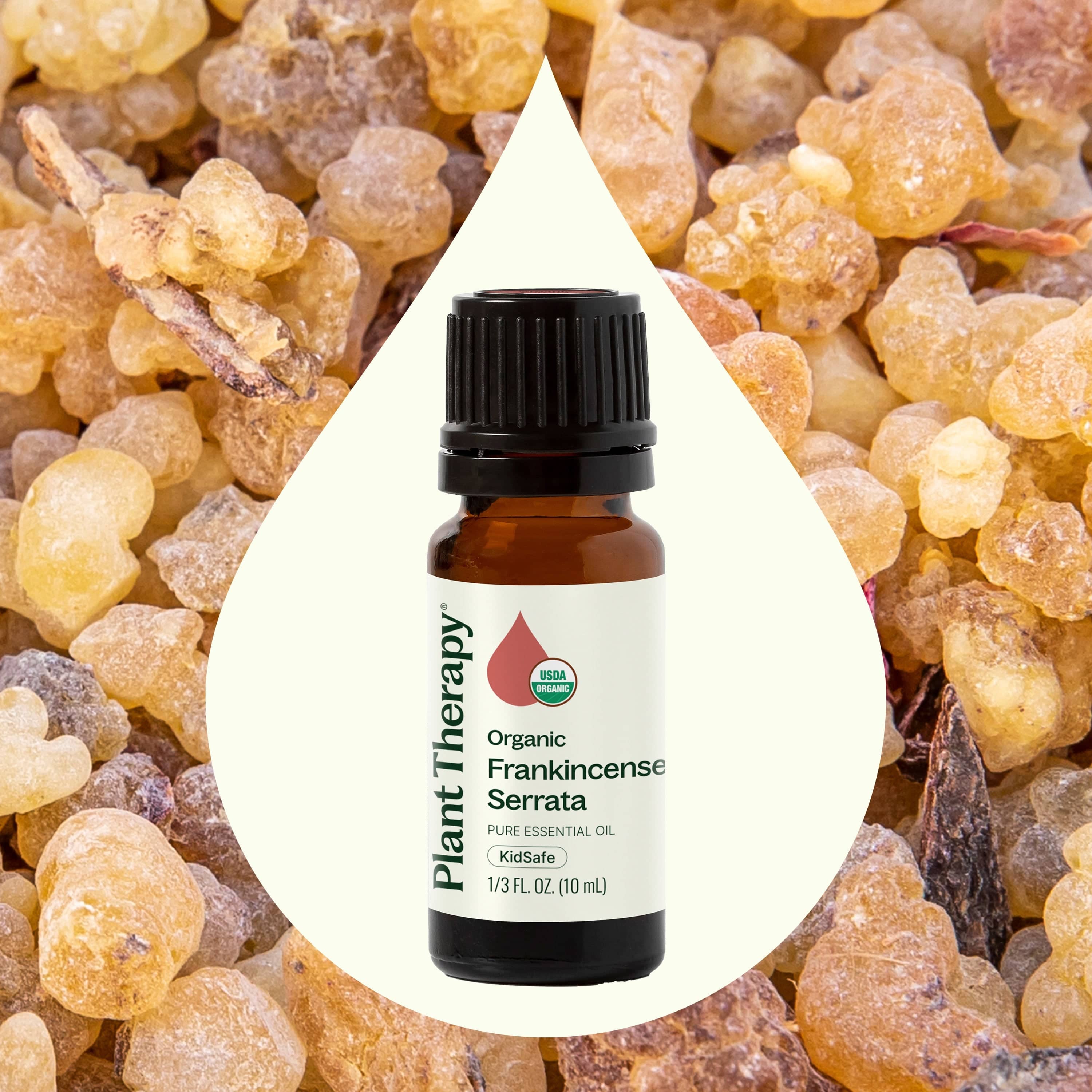 Plant Therapy Essential Oil Organic Frankincense Serrata Essential Oil