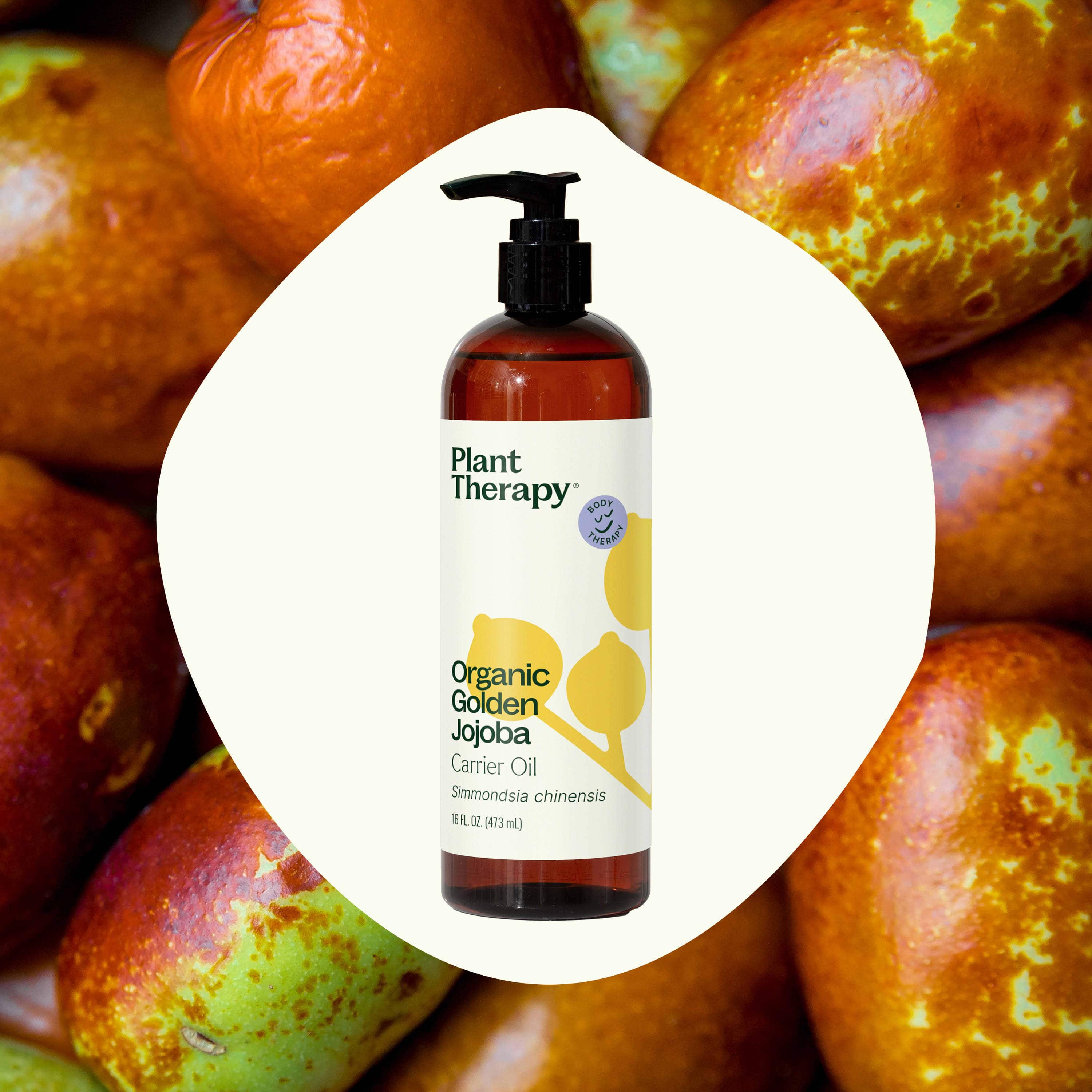 Plant Therapy Body Care 16 oz Organic Golden Jojoba Carrier Oil