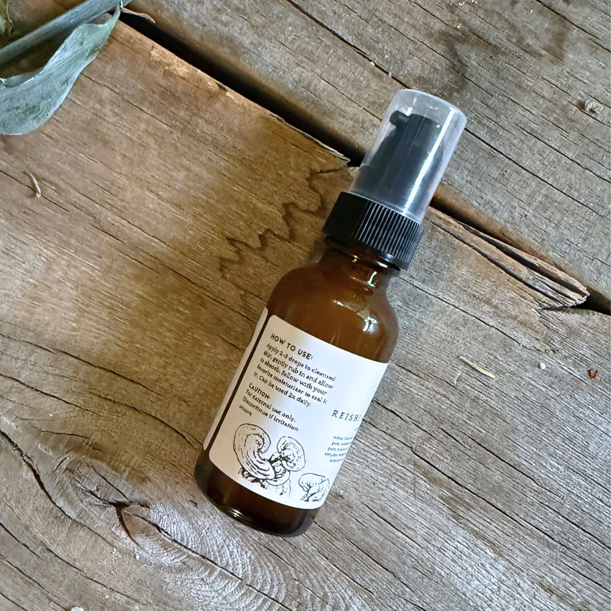 Photo Finish Reishi & Pomegranate Serum