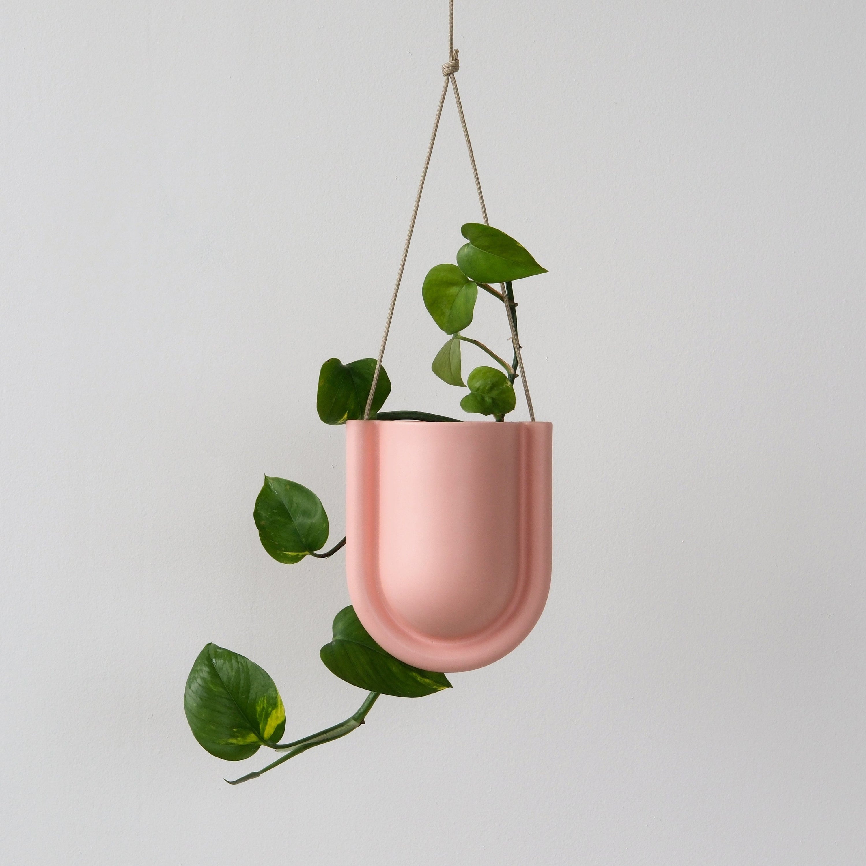 Misewell Pots & Planters Pink Matte Portico Planter