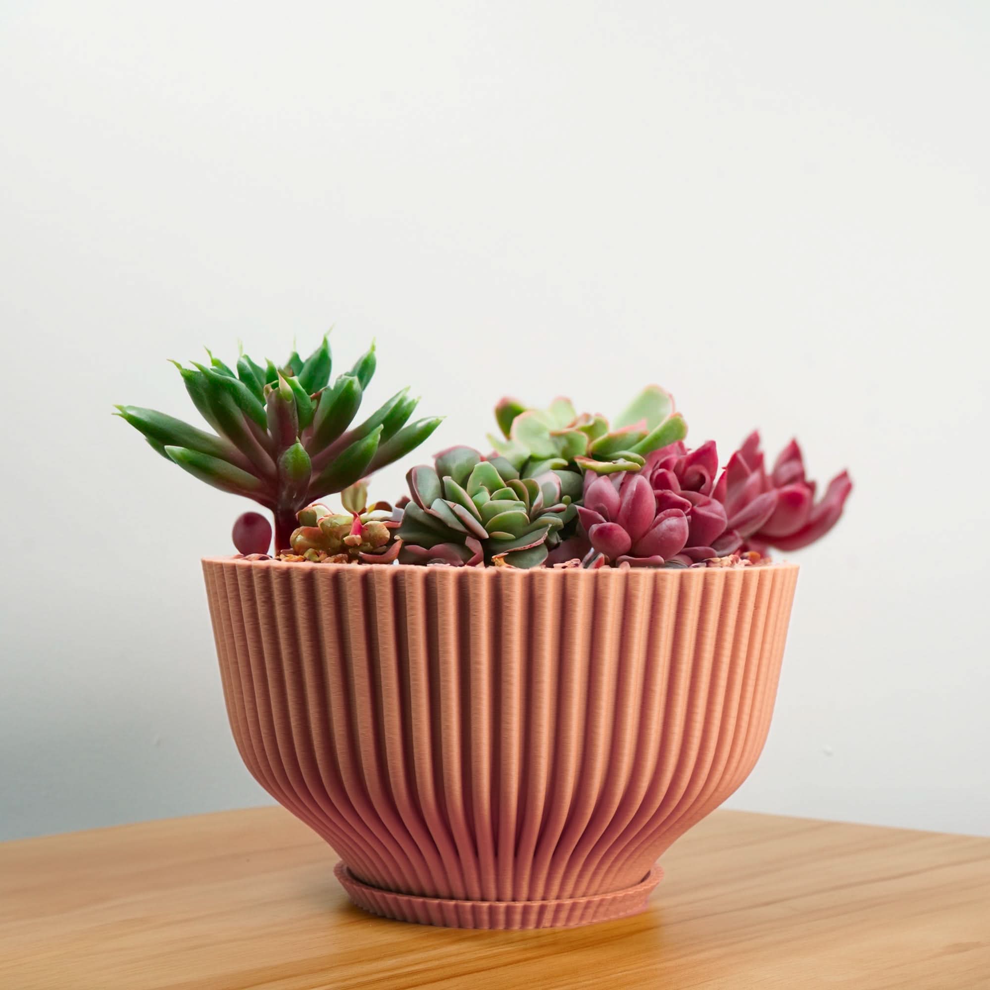 Rosebud HomeGoods Bonsai Pot with Drainage & Tray