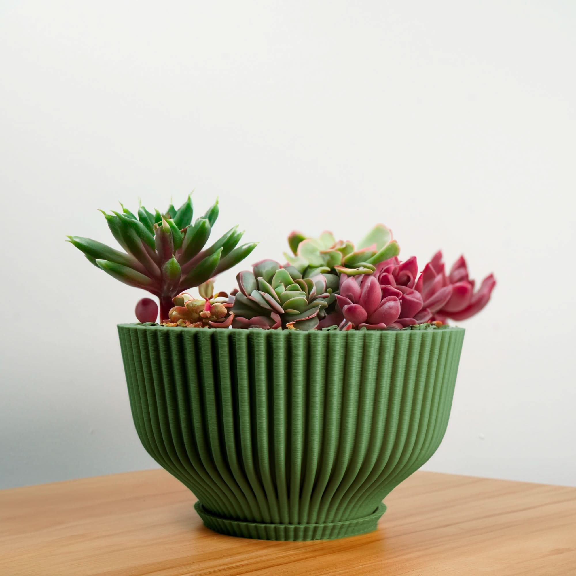 Rosebud HomeGoods Bonsai Pot with Drainage & Tray
