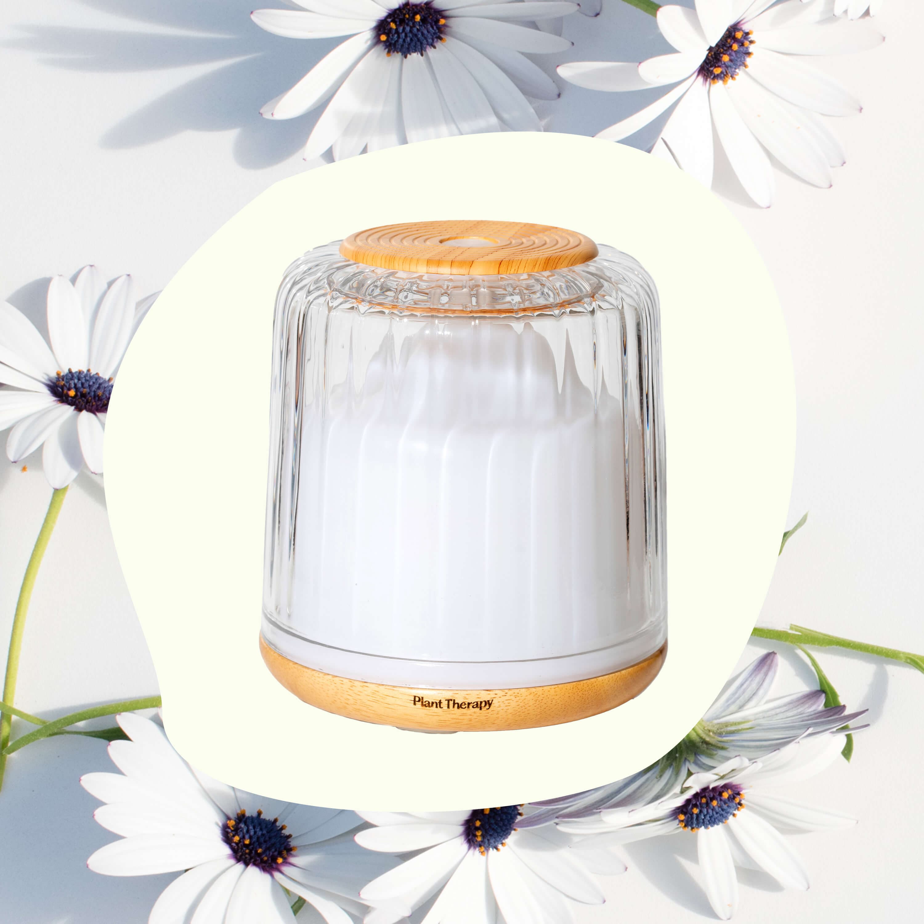 Plant Therapy Diffuser Serenity Glass Diffuser