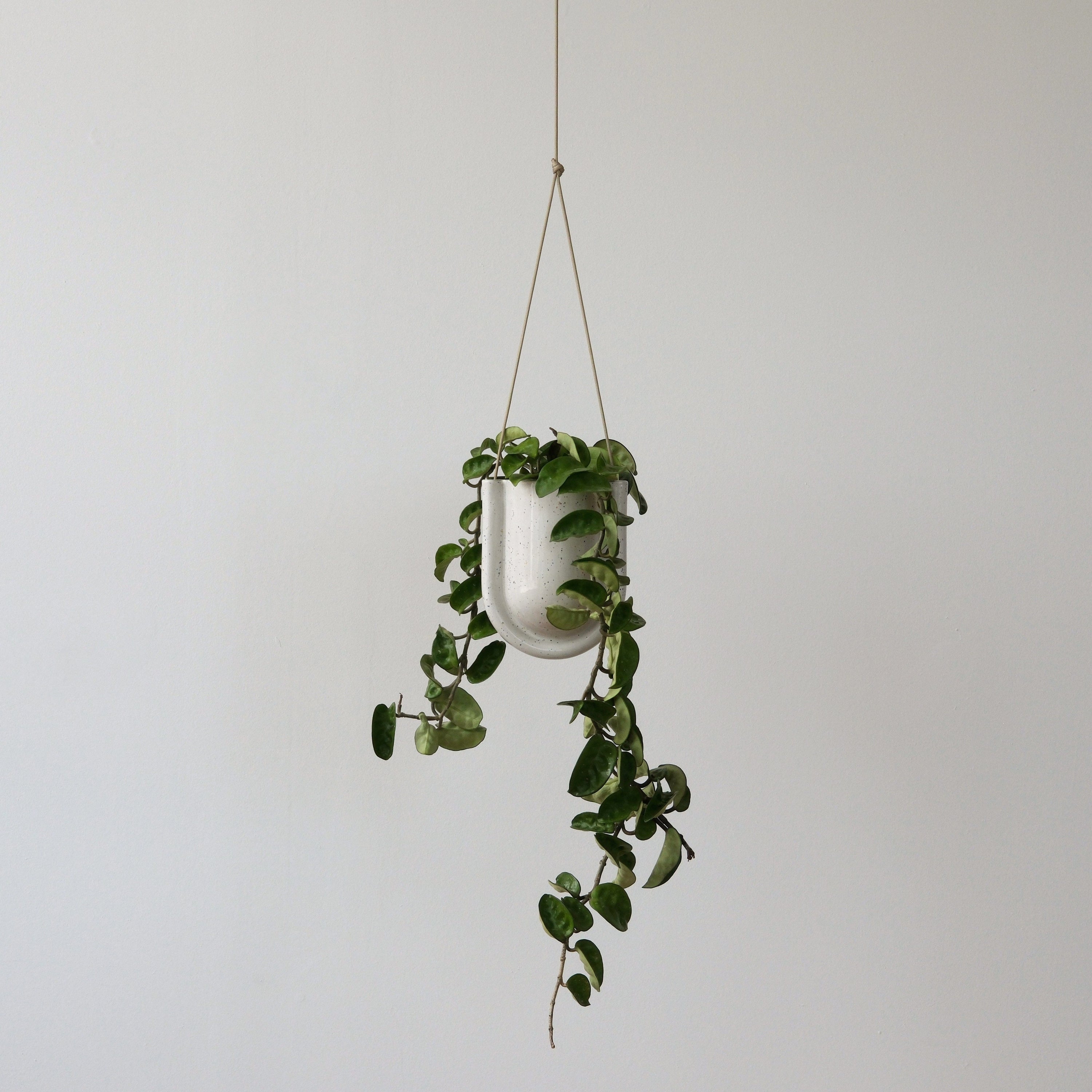 Misewell Pots & Planters Portico Planter