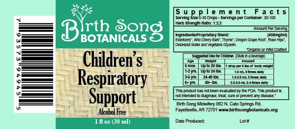 Birth Song Botanicals Co. Tinctures Default Children’s Herbal Tincture – Elderberry & Botanical Blend (1 oz)