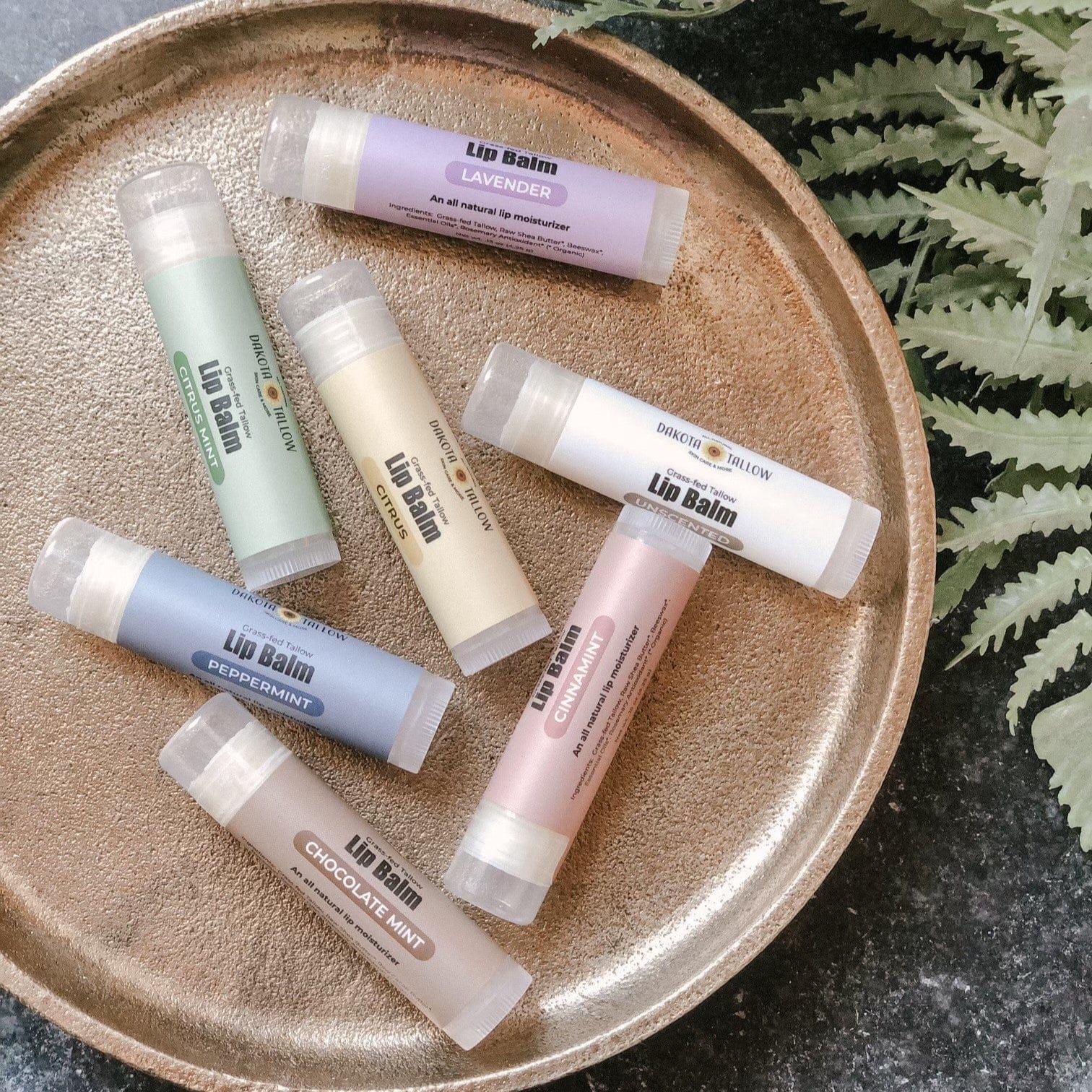 Dakota Tallow General Sampler Set