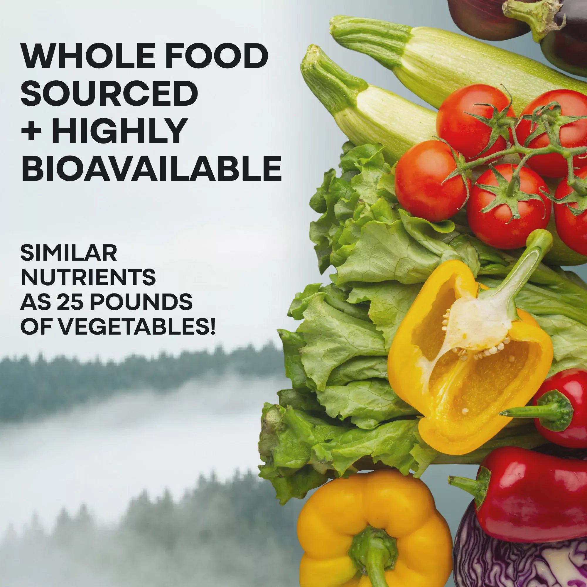 Wild Foods Supplements Methylated Whole Food Multivitamin