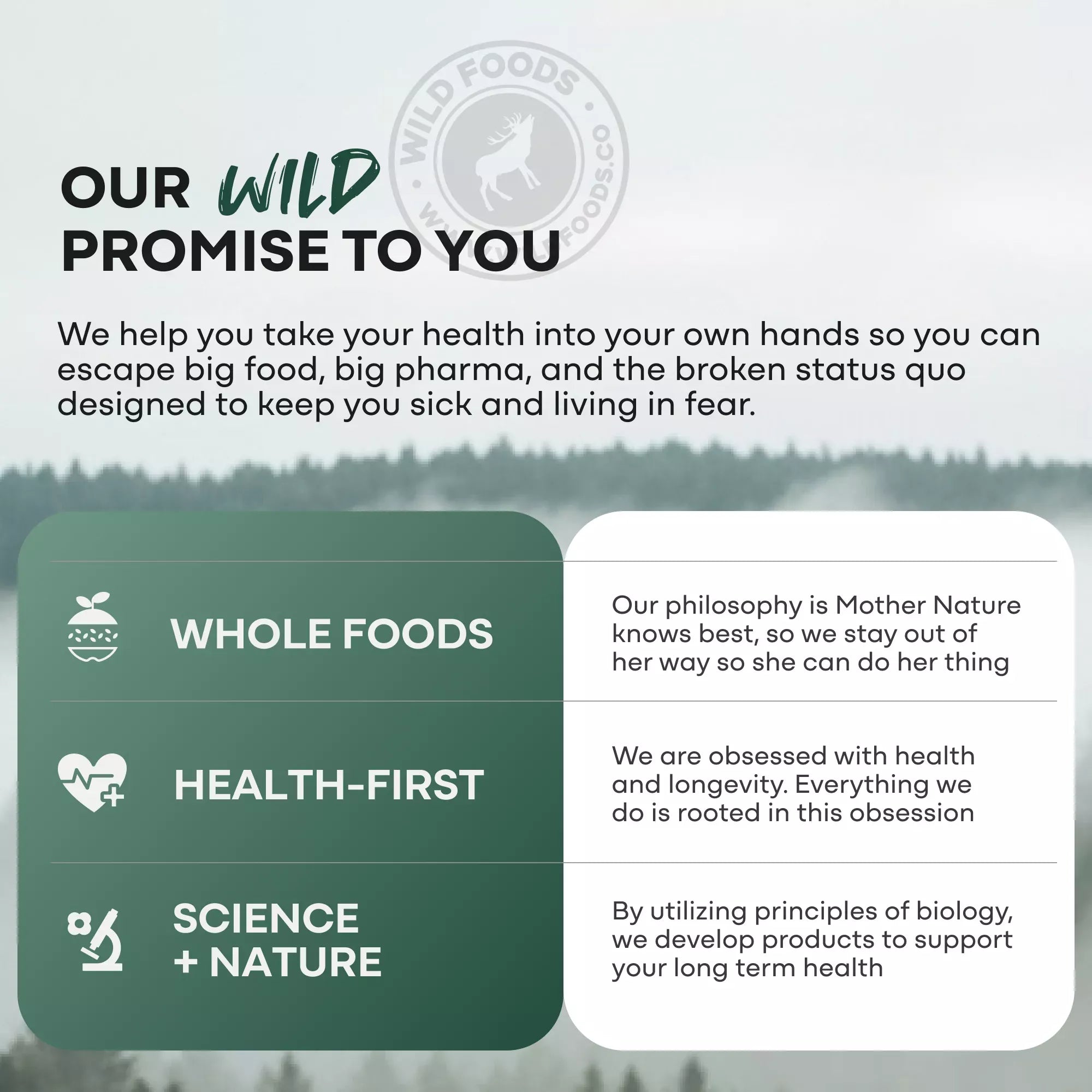 Wild Foods Supplements Methylated Whole Food Multivitamin