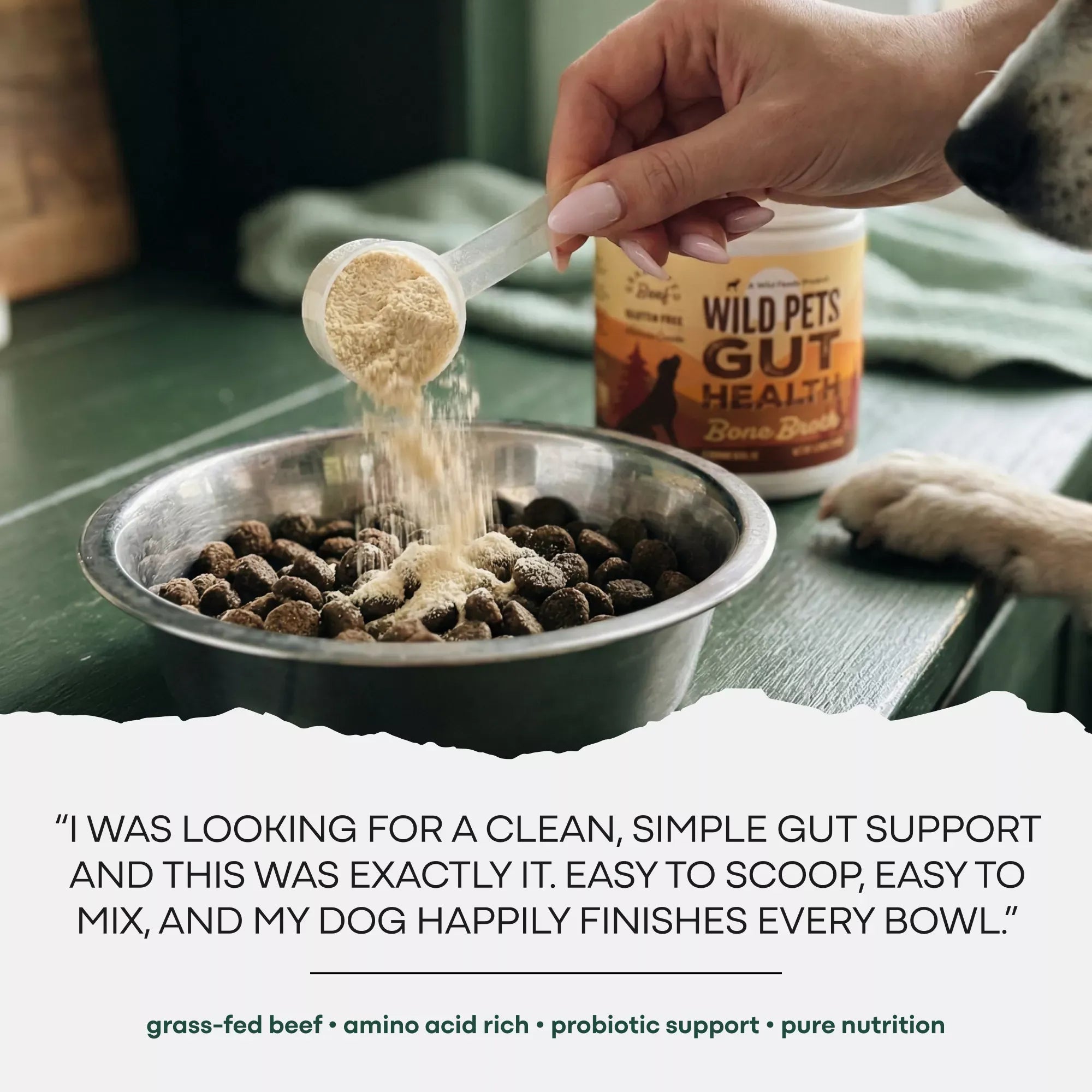 Wild Foods Pets For Dogs | Bone Broth Powder - Canine Gut & Immune Support