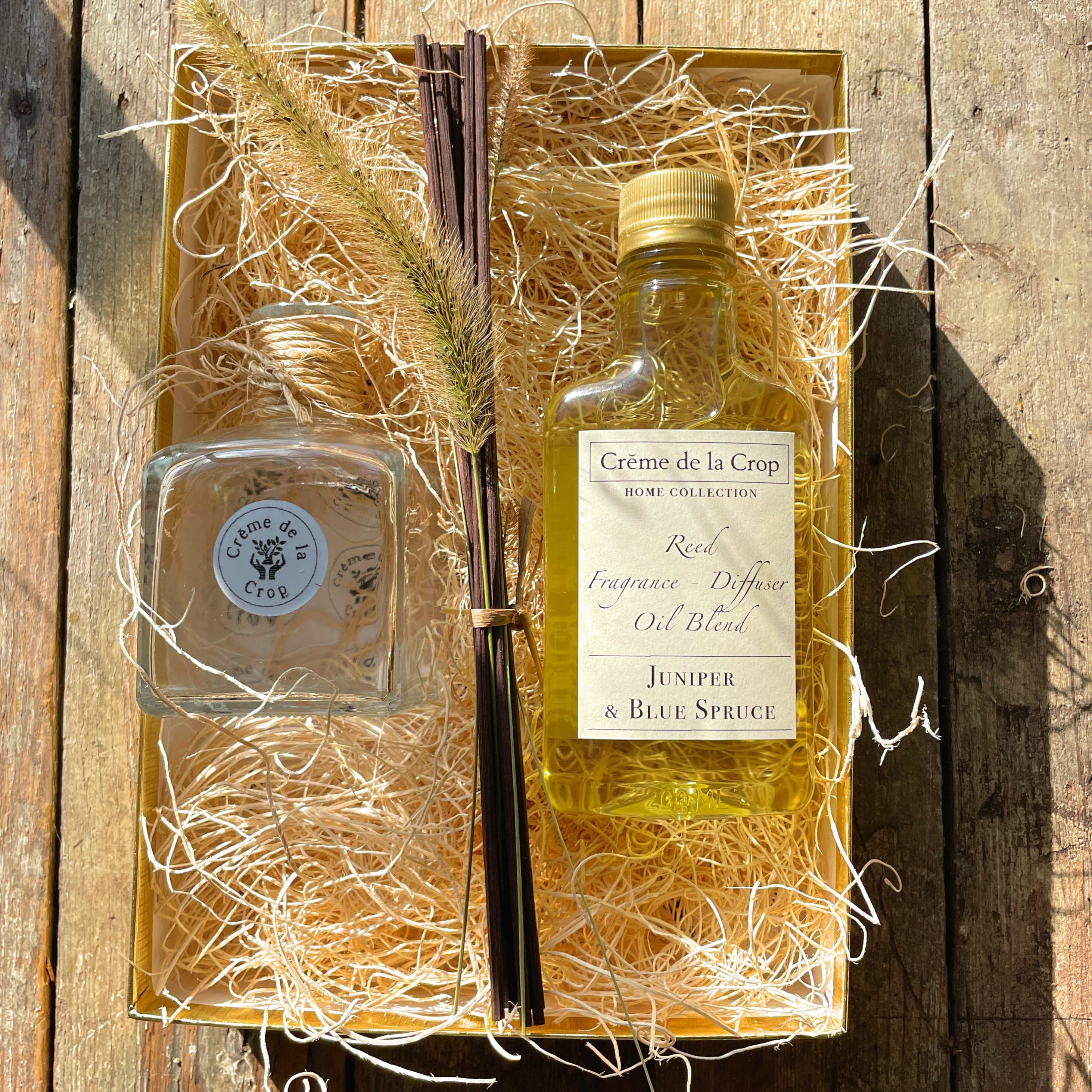 Creme de la Crop Reed Fragrance - Diffuser, Starter Kit - Juniper & Blue Spruce