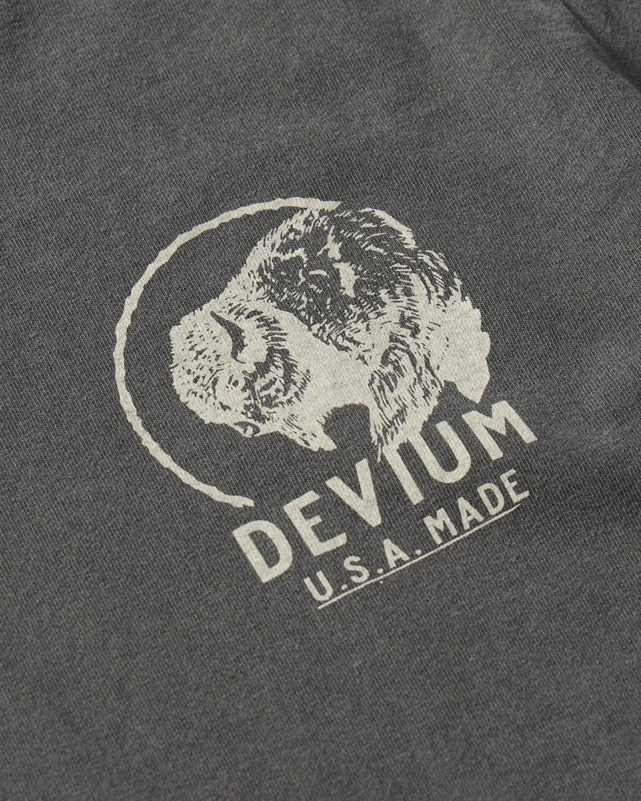 Devium Roamin&