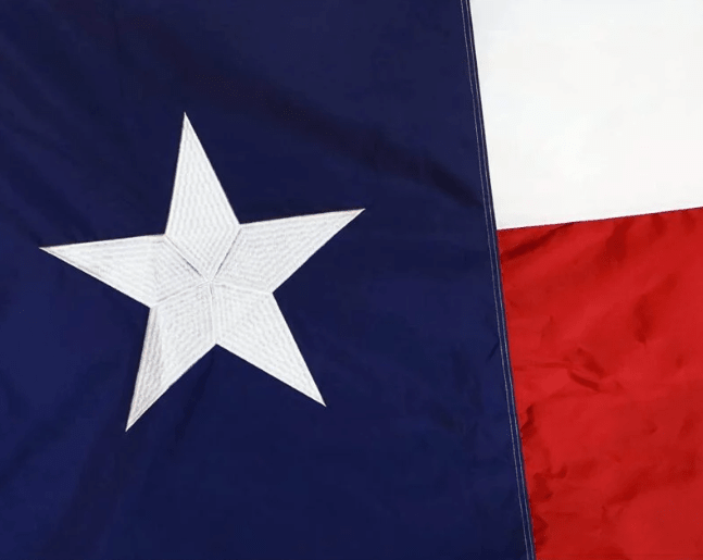 Flags Unlimited USA Nylon State Flags Texas