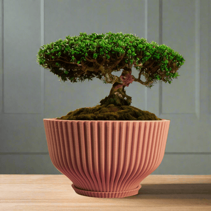 Rosebud HomeGoods Bonsai Pot with Drainage &amp; Tray