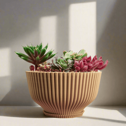 Rosebud HomeGoods Bonsai Pot with Drainage &amp; Tray