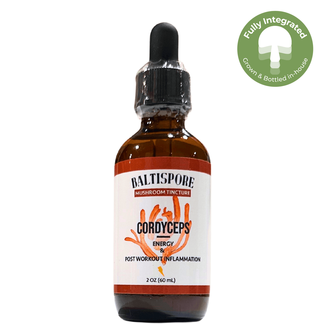 BaltiSpore Tincture Cordyceps Mushroom Tincture