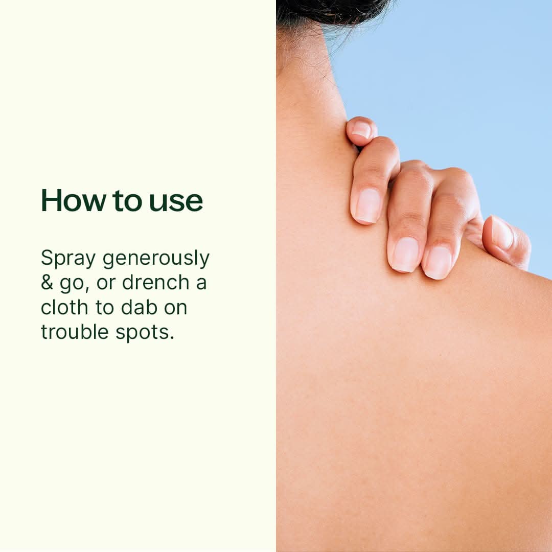 Plant Therapy Body Care 4 oz After Sun Spray