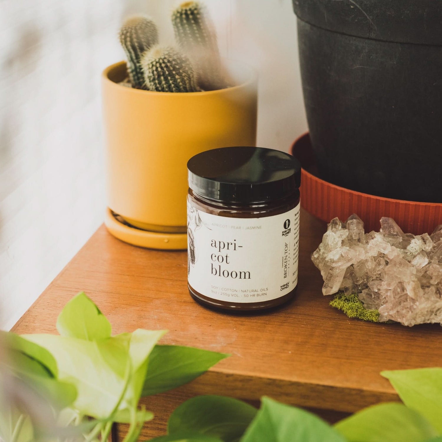Broken Top Brands Candle 9oz Apricot Bloom Soy Candle