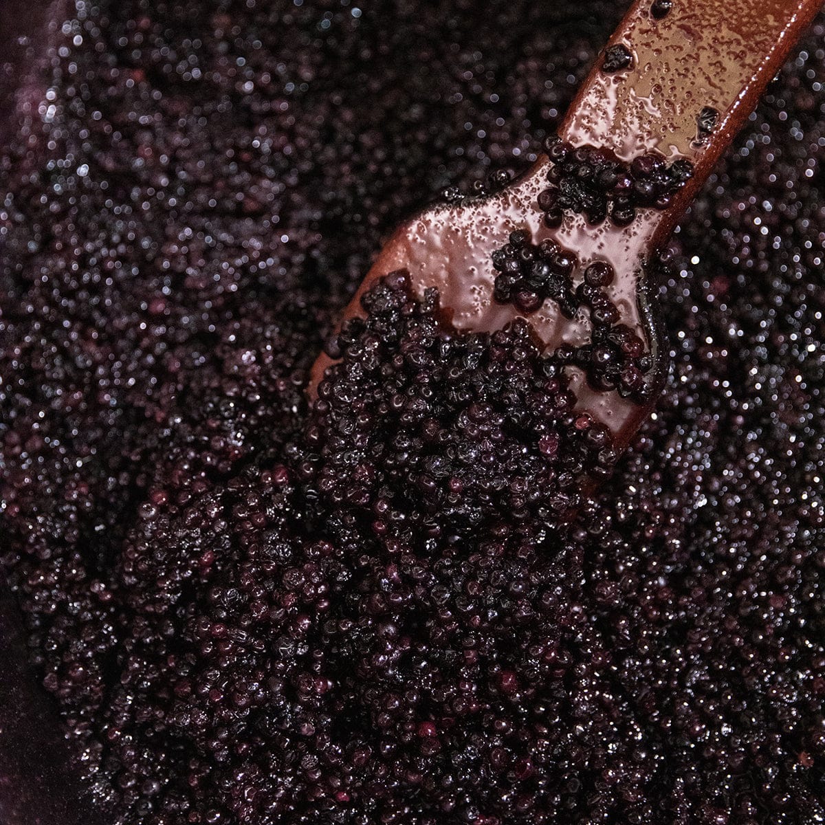 Blake Hill Preserves jam Wild Blueberry Preserve