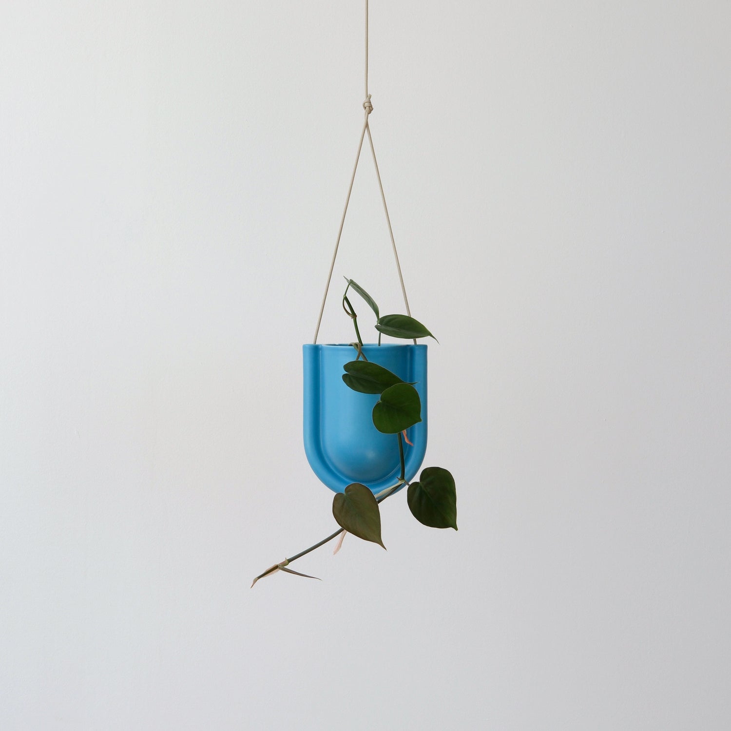 Misewell Pots &amp; Planters Blue Portico Planter