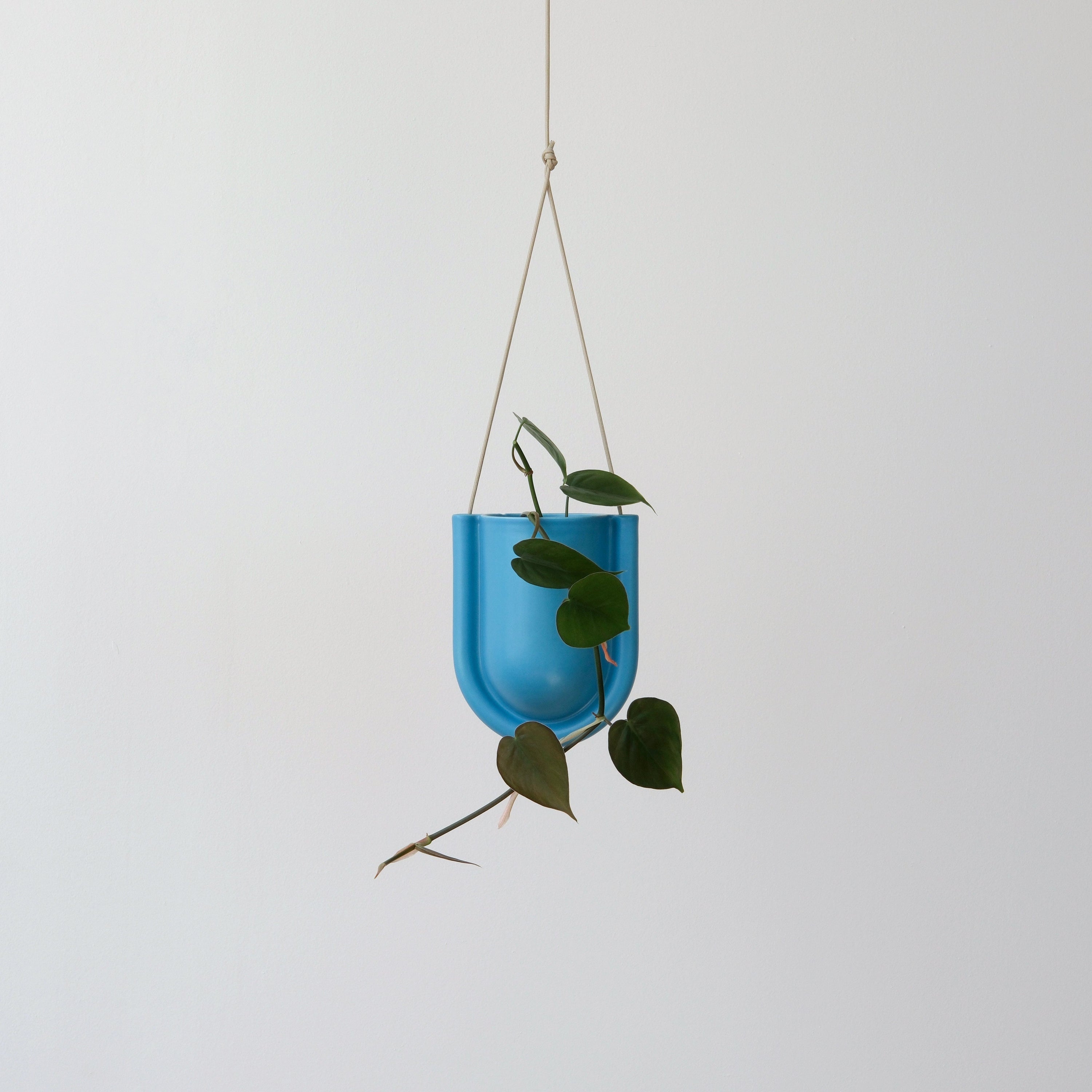 Misewell Pots &amp; Planters Blue Portico Planter