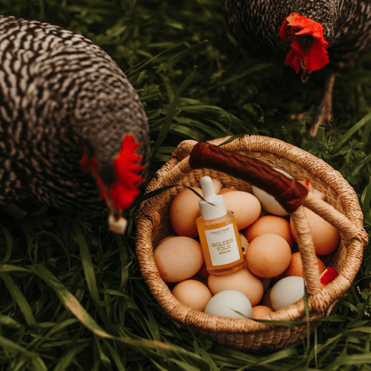 urban farm collection Farm Shop Golden Yolk Serum