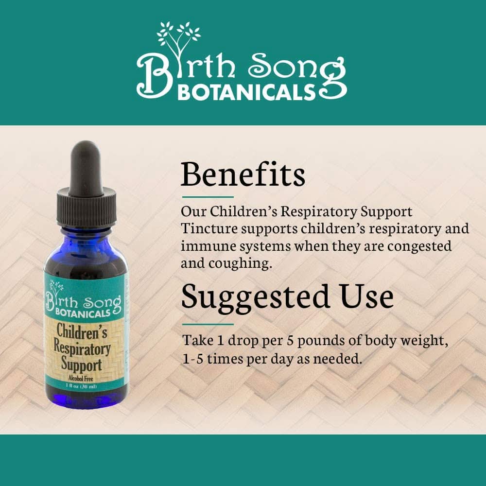 Birth Song Botanicals Co. Tinctures Default Children’s Herbal Tincture – Elderberry &amp;amp; Botanical Blend (1 oz)