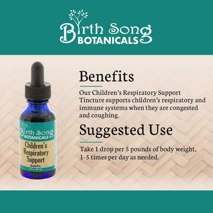 Birth Song Botanicals Co. Tinctures Default Children’s Herbal Tincture – Elderberry &amp;amp; Botanical Blend (1 oz)